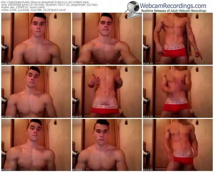 chaturbate-diegohot13-webcam-show-11_29_2015-12_48_29