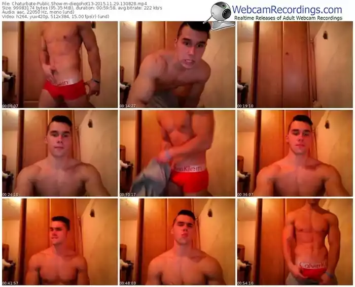 chaturbate-diegohot13-webcam-show-11_29_2015-13_08_28