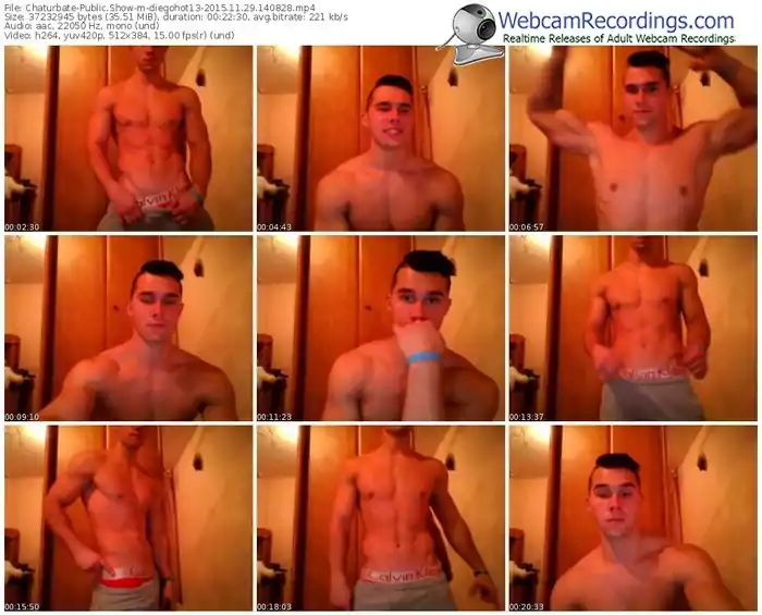 chaturbate-diegohot13-webcam-show-11_29_2015-14_08_28