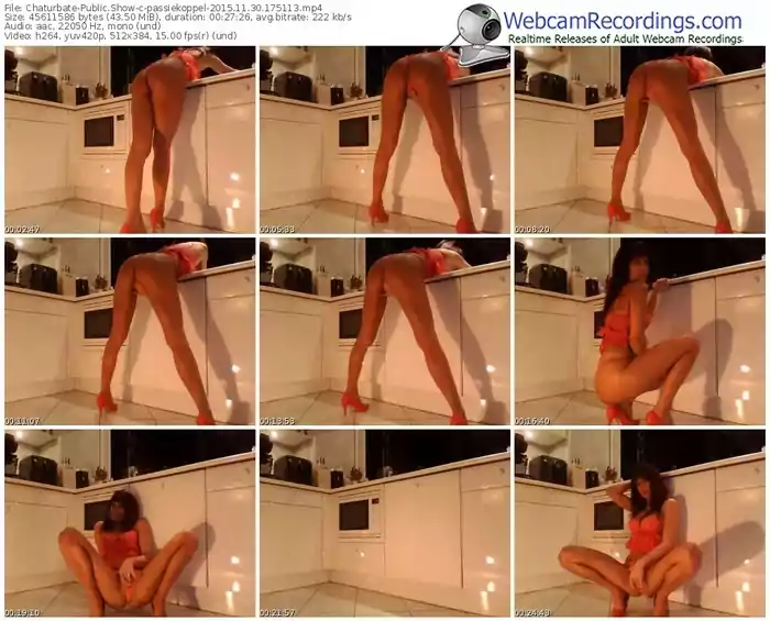 chaturbate-passiekoppel-webcam-show-11_30_2015-17_51_13