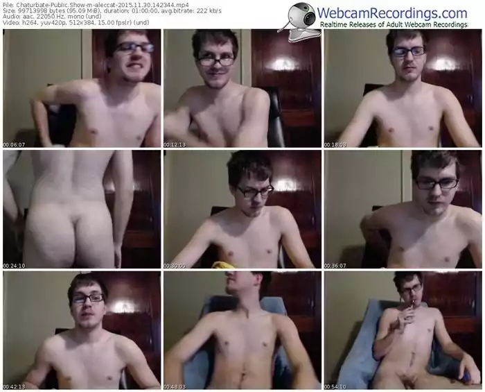chaturbate-aleccat-webcam-show-11_30_2015-14_23_44