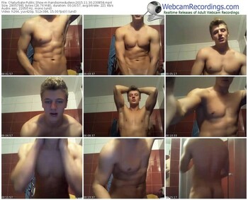 chaturbate-handsomedudess-webcam-show-11_30_2015-23_08_58