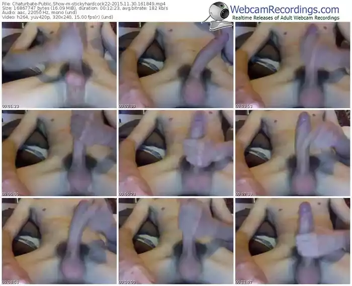 chaturbate-stickyhardcock22-webcam-show-11_30_2015-16_18_49