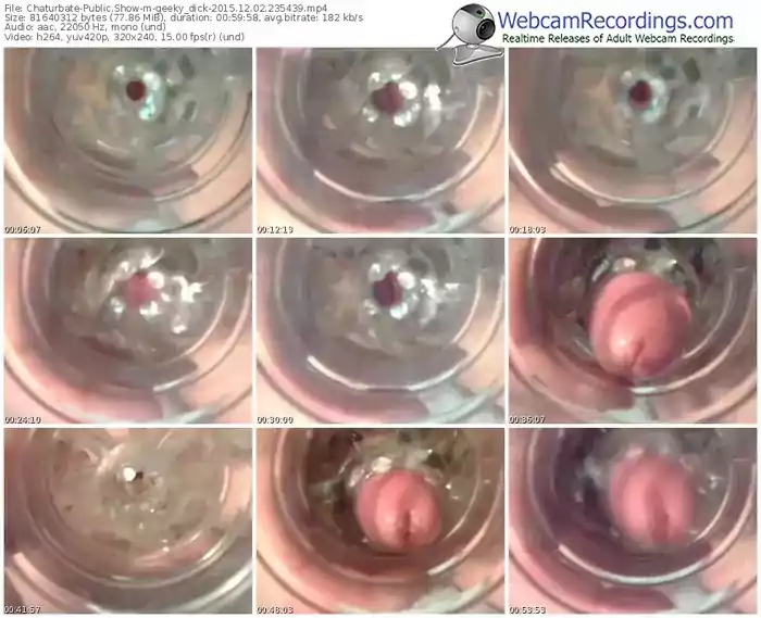 chaturbate-geeky_dick-webcam-show-12_02_2015-23_54_39