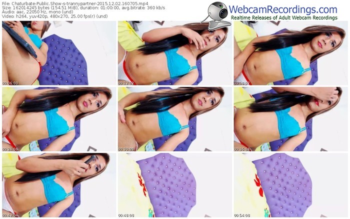 chaturbate-trannypartner-webcam-show-12_02_2015-16_07_05