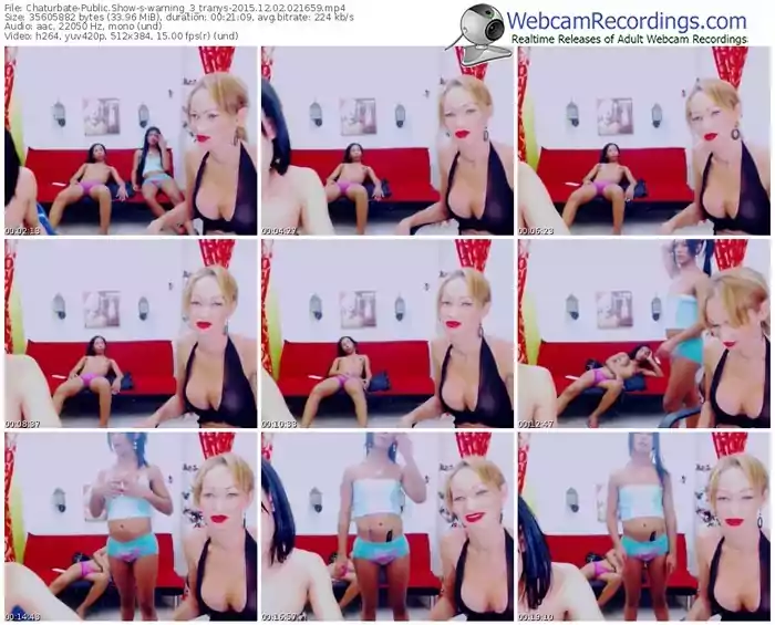chaturbate-warning_3_tranys-webcam-show-12_02_2015-02_16_59