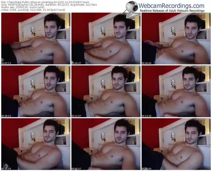 chaturbate-smartguy20-webcam-show-12_03_2015-01_49_37