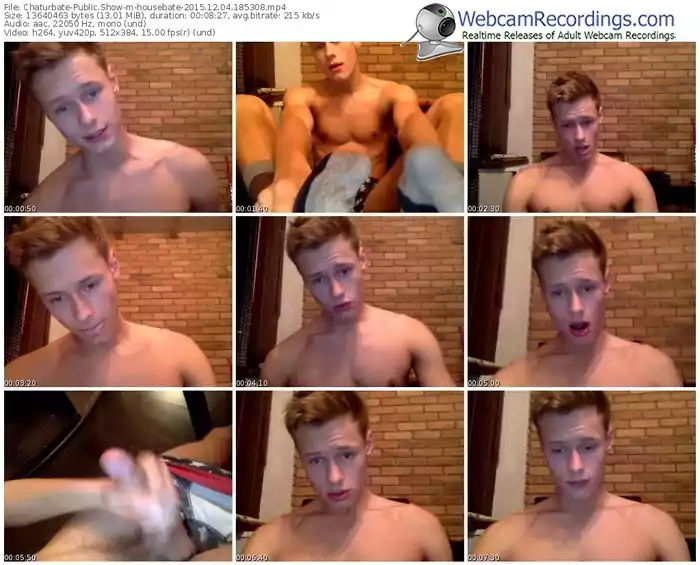 chaturbate-housebate-webcam-show-12_04_2015-18_53_08