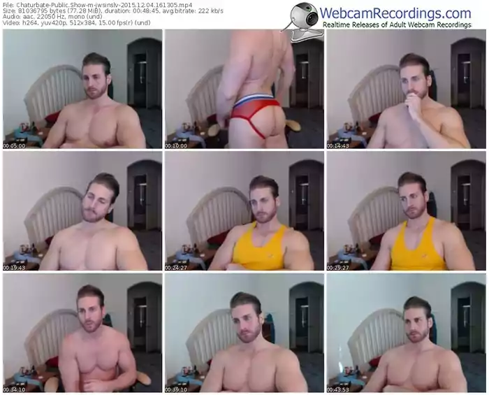 chaturbate-jwsinslv-webcam-show-12_04_2015-16_13_05