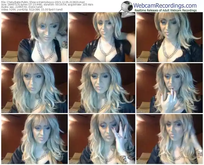 chaturbate-trannyboyyy-webcam-show-12_05_2015-21_38_23