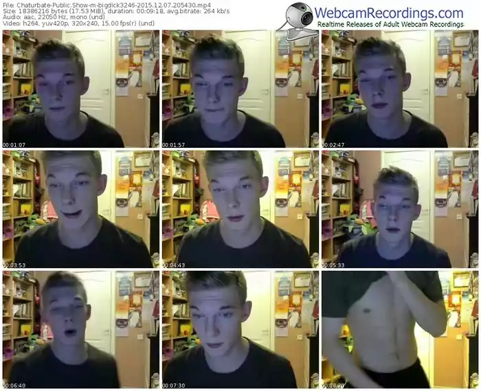 chaturbate-bigdick3246-webcam-show-12_07_2015-20_54_30