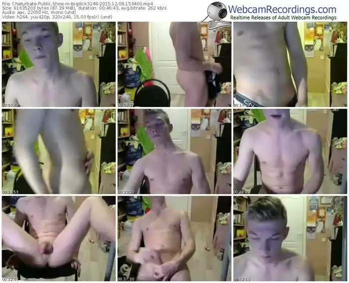 chaturbate-bigdick3246-webcam-show-12_08_2015-15_34_00
