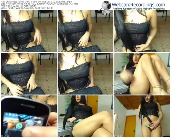 chaturbate-sara_the_slut-webcam-show-12_10_2015-12_34_51