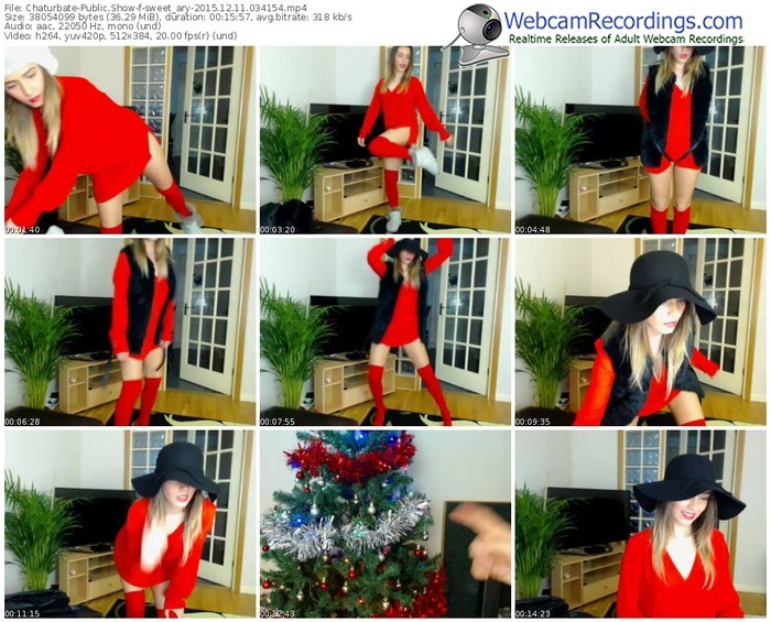 chaturbate-sweet_ary-webcam-show-12_11_2015-03_41_54-2