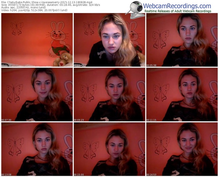 chaturbate-loveseamerry-webcam-show-12_13_2015-18_08_28