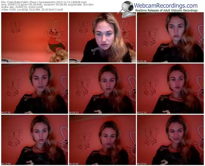 chaturbate-loveseamerry-webcam-show-12_13_2015-18_08_28