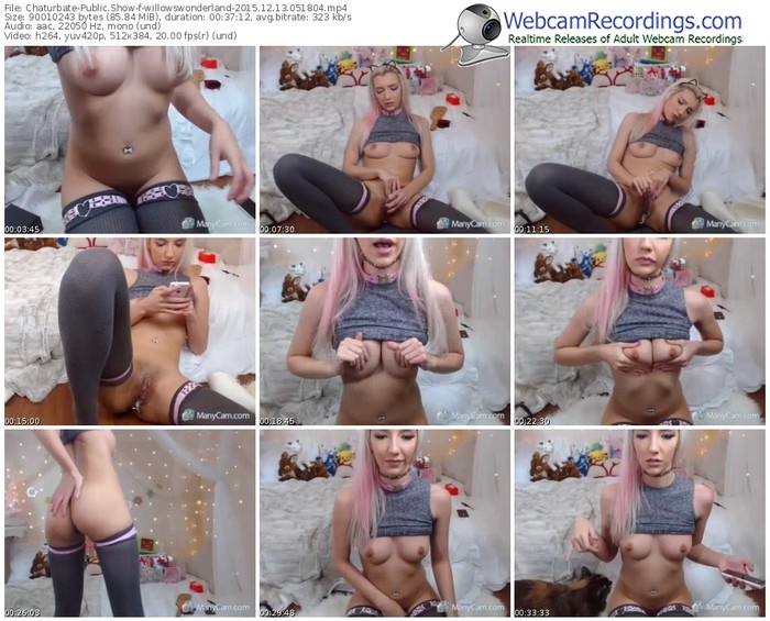 chaturbate-willowswonderland-webcam-show-12_13_2015-05_18_04
