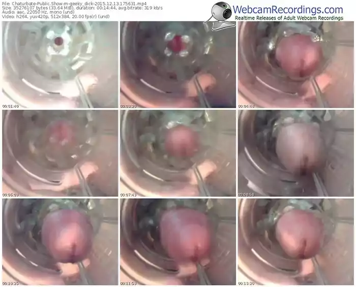 chaturbate-geeky_dick-webcam-show-12_13_2015-17_56_31