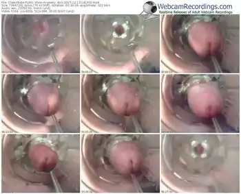 chaturbate-geeky_dick-webcam-show-12_13_2015-18_16_32