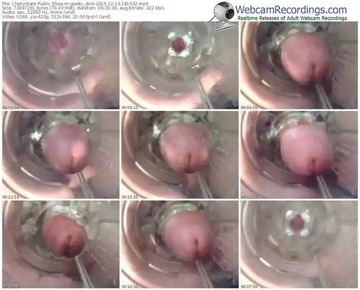 chaturbate-geeky_dick-webcam-show-12_13_2015-18_16_32