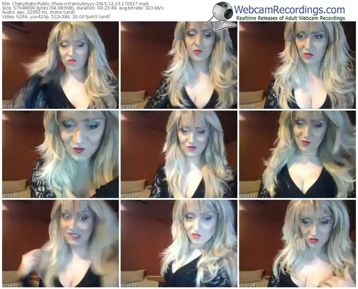 chaturbate-trannyboyyy-webcam-show-12_13_2015-17_06_17