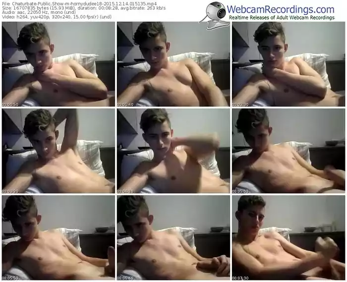 chaturbate-hornydudee18-webcam-show-12_14_2015-01_51_35