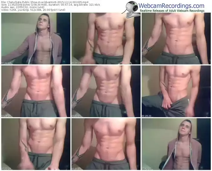 chaturbate-wildvarmint-webcam-show-12_14_2015-00_16_35