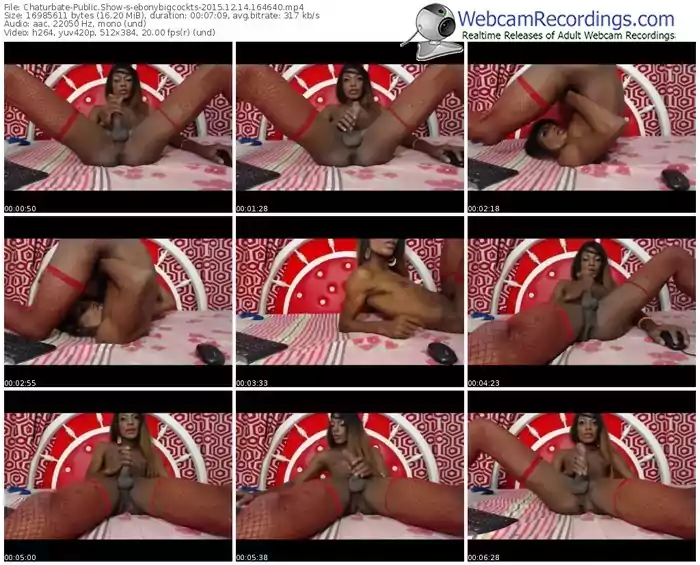 chaturbate-ebonybigcockts-webcam-show-12_14_2015-16_46_40