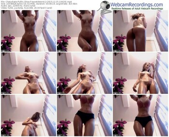 chaturbate-sweetdesire12-webcam-show-12_15_2015-10_42_01