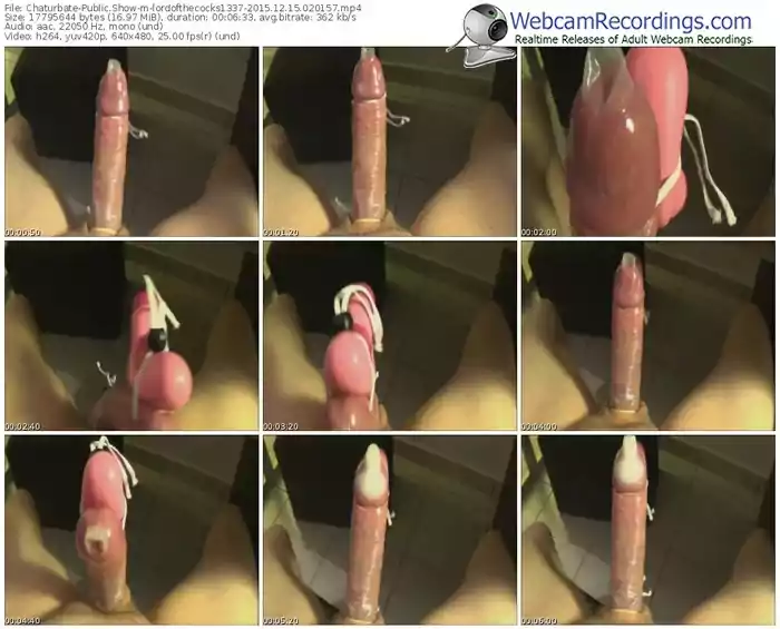 chaturbate-lordofthecocks1337-webcam-show-12_15_2015-02_01_57