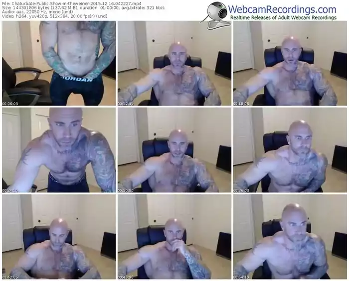 chaturbate-theweiner-webcam-show-12_16_2015-04_22_27