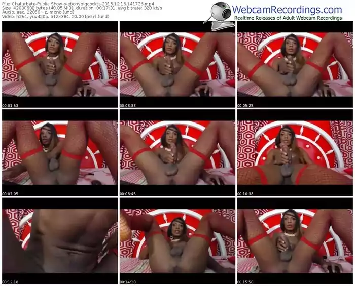 chaturbate-ebonybigcockts-webcam-show-12_16_2015-14_17_26