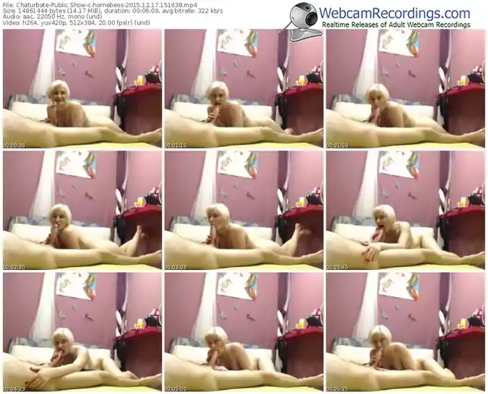 chaturbate-hornebees-webcam-show-12_17_2015-15_16_38