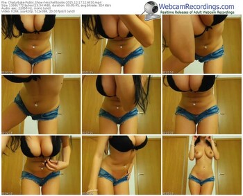 chaturbate-michellboobs-webcam-show-12_17_2015-11_46_30