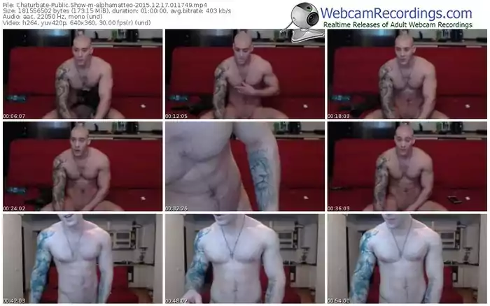 chaturbate-alphamatteo-webcam-show-12_17_2015-01_17_49