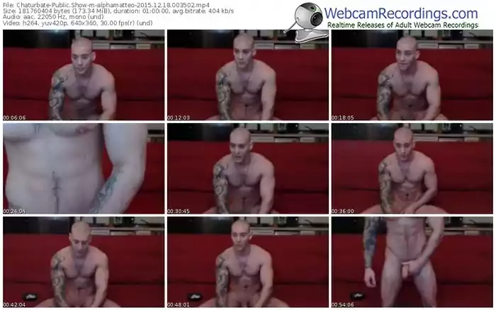 chaturbate-alphamatteo-webcam-show-12_18_2015-00_35_02