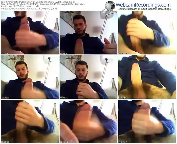 chaturbate-wilditalian-webcam-show-12_18_2015-12_05_13