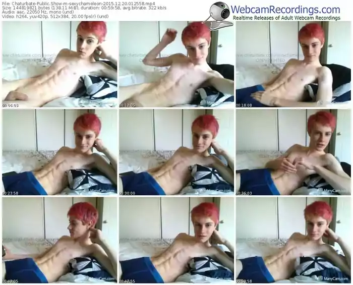 chaturbate-sexychameleon-webcam-show-12_20_2015-01_25_58