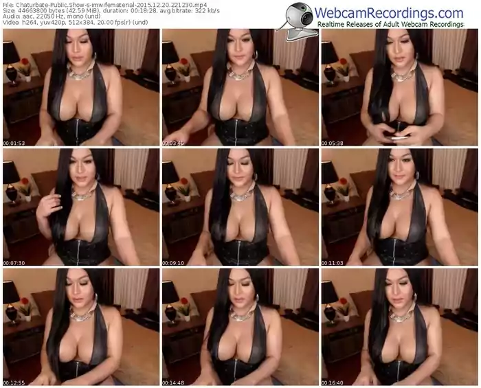 chaturbate-imwifematerial-webcam-show-12_20_2015-22_12_30