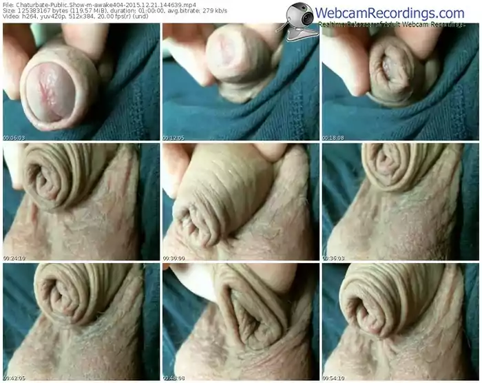 chaturbate-awake404-webcam-show-12_21_2015-14_46_39