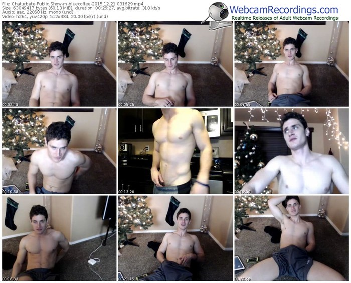 chaturbate-bluecoffee-webcam-show-12_21_2015-03_16_29