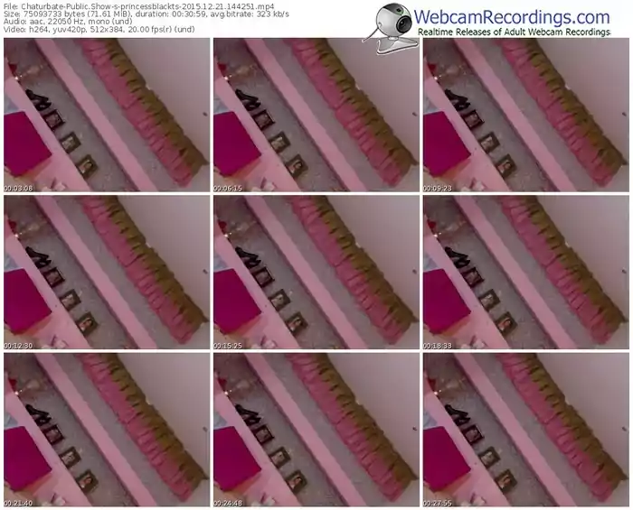 chaturbate-princessblackts-webcam-show-12_21_2015-14_42_51