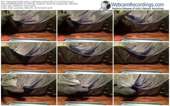 chaturbate-dchoneycombs-webcam-show-12_22_2015-04_36_15