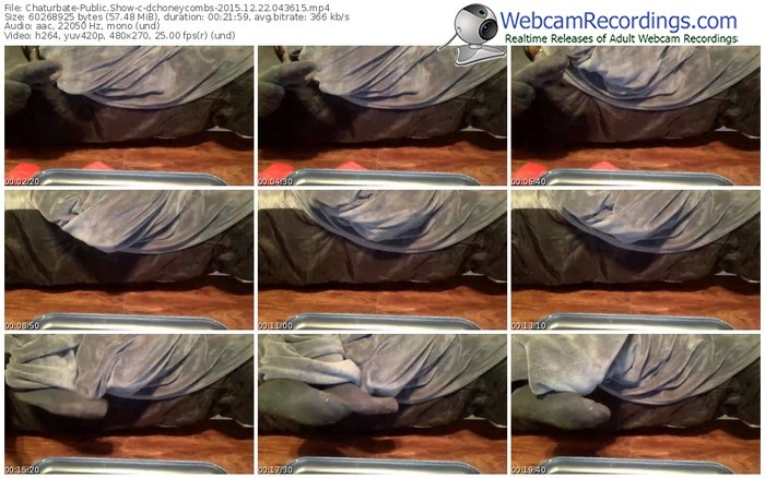 chaturbate-dchoneycombs-webcam-show-12_22_2015-04_36_15
