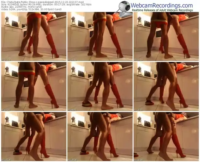 chaturbate-passiekoppel-webcam-show-12_22_2015-22_21_37