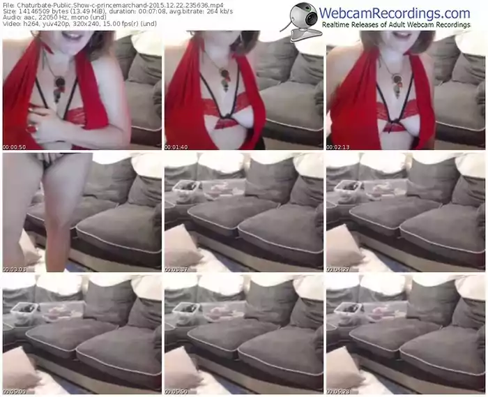 chaturbate-princemarchand-webcam-show-12_22_2015-23_56_36