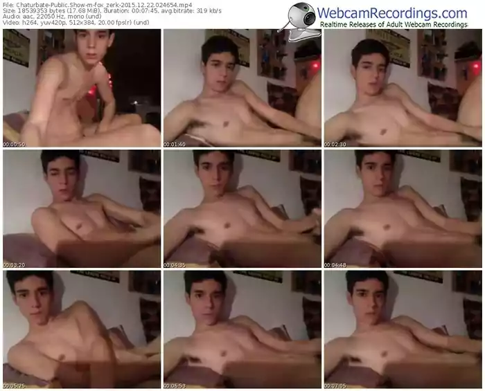 chaturbate-fox_zerk-webcam-show-12_22_2015-02_46_54