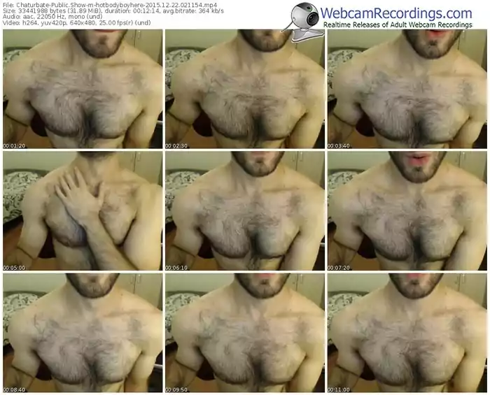 chaturbate-hotbodyboyhere-webcam-show-12_22_2015-02_11_54