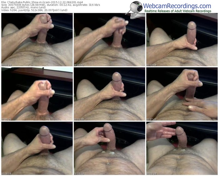 chaturbate-licam-webcam-show-12_22_2015-08_42_01