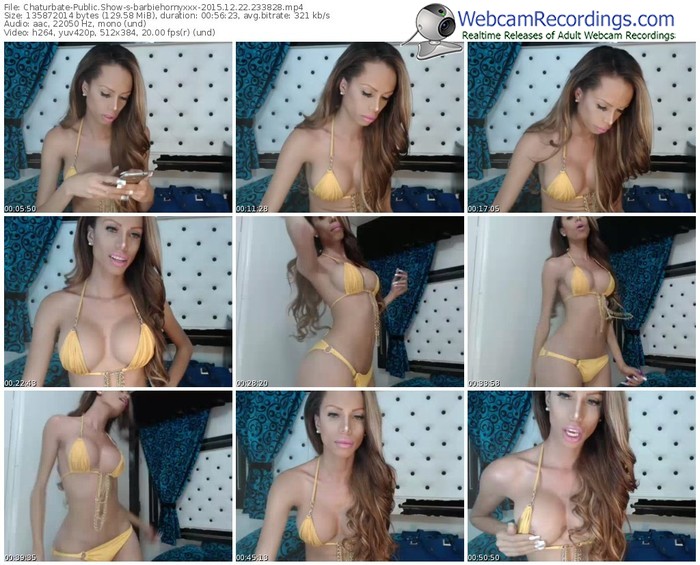 chaturbate-barbiehornyxxx-webcam-show-12_22_2015-23_38_28